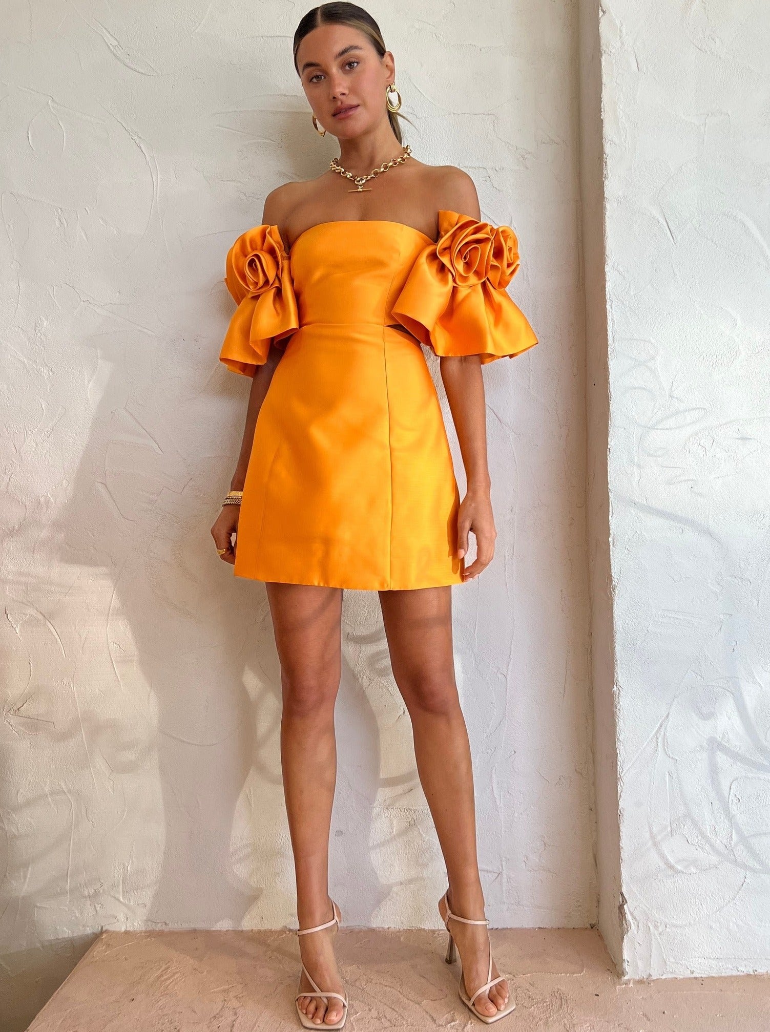 alemais dress sale (FOR SALE) ALEMAIS MASIE ROSETTE DRESS SIZE 6