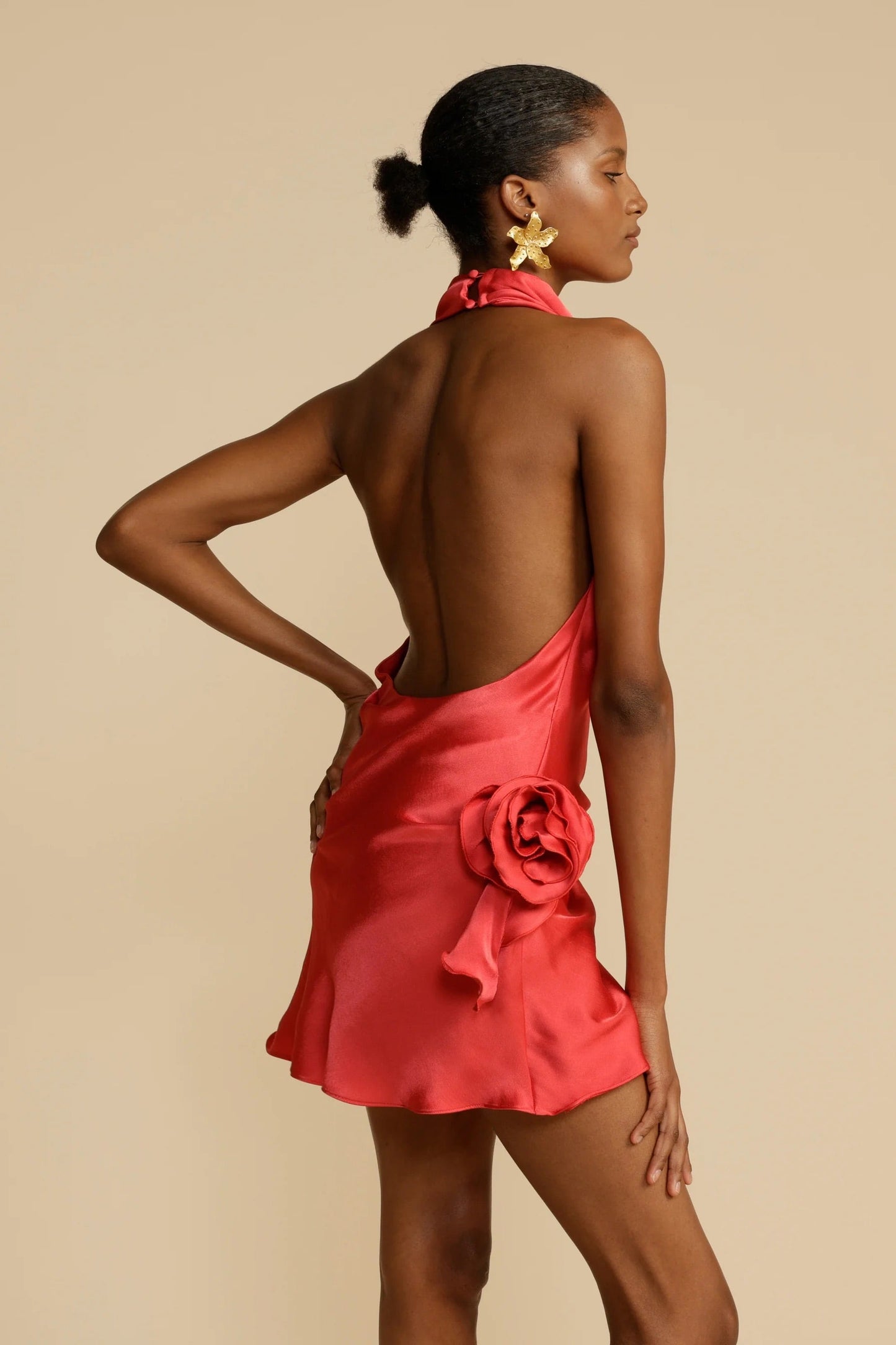 ARCINA ORI ROSA DRESS SIZE 8, 10