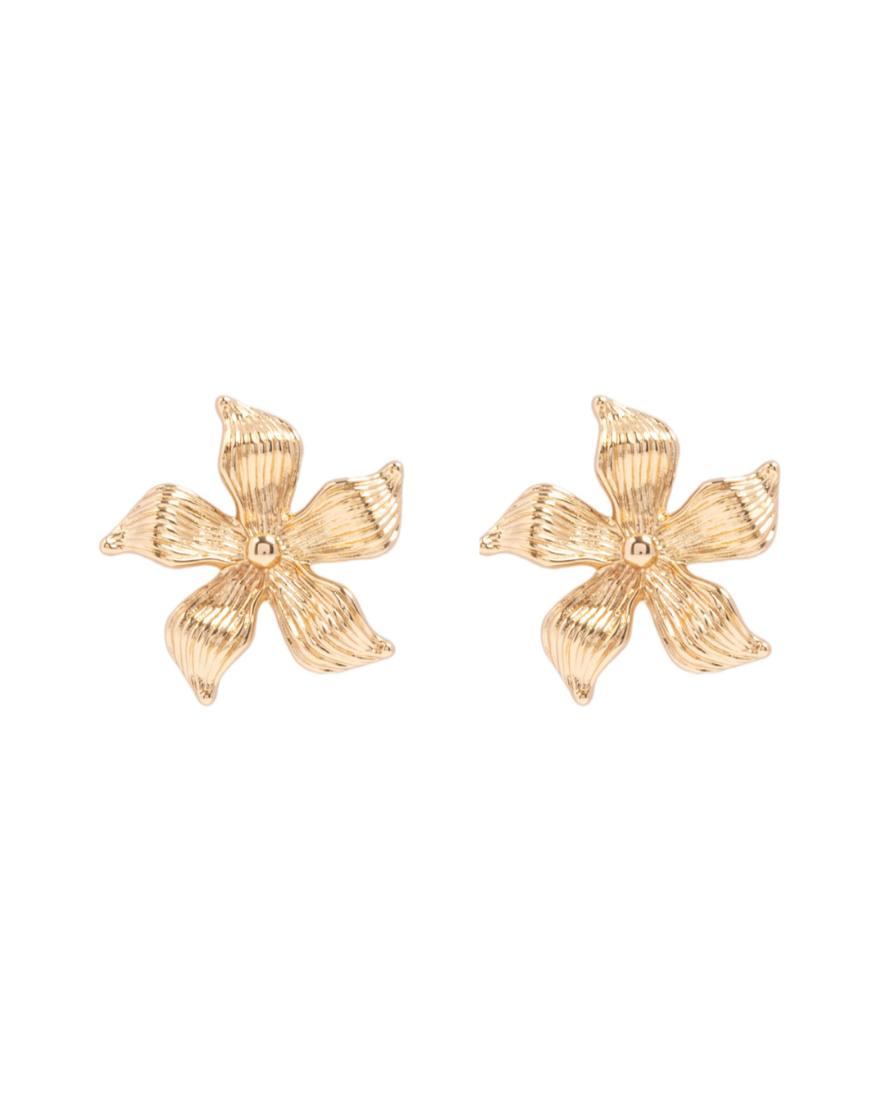 (BUY TO KEEP) ZANI EARRINGS
